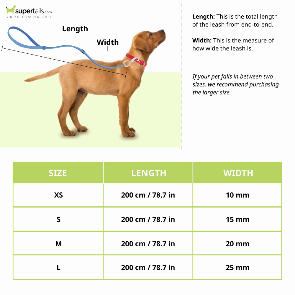 Truelove Royal Classic leash for Dogs (Blue)