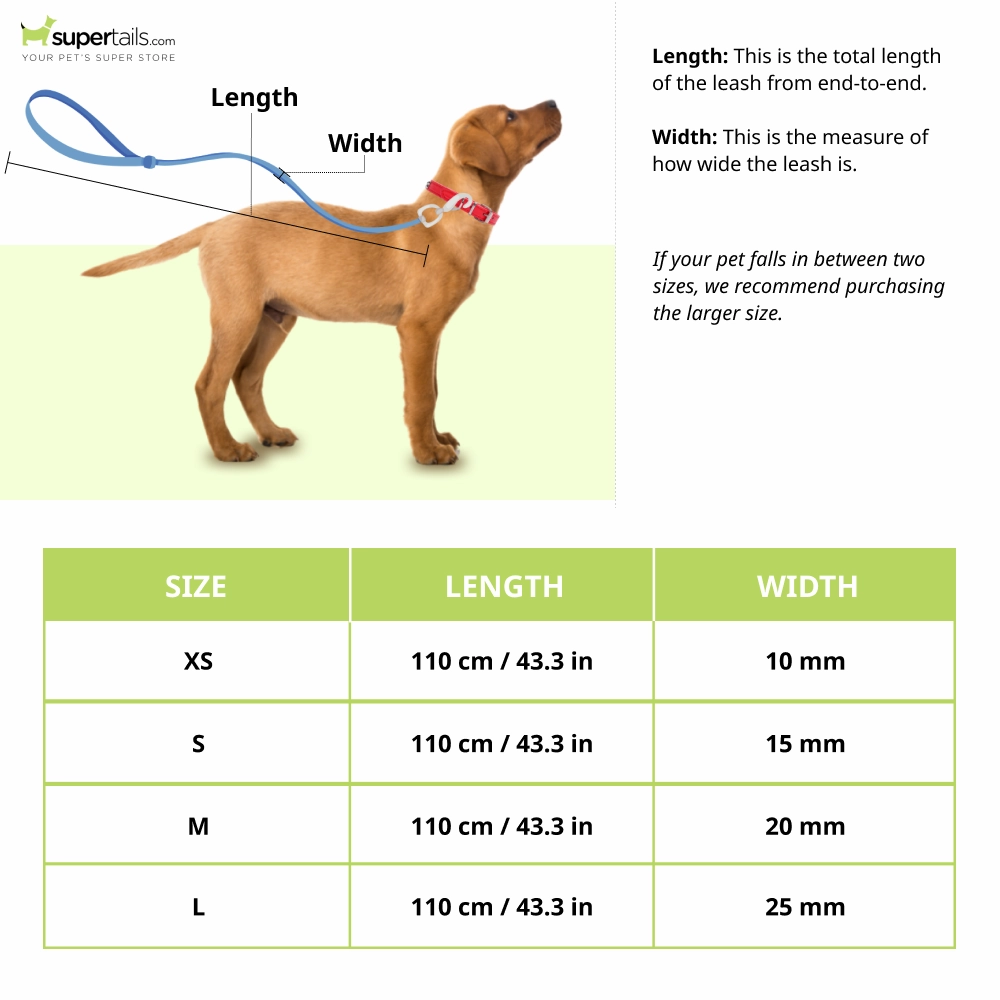Truelove Royal Classic leash with D Rings for Dogs (Blue  110cm)