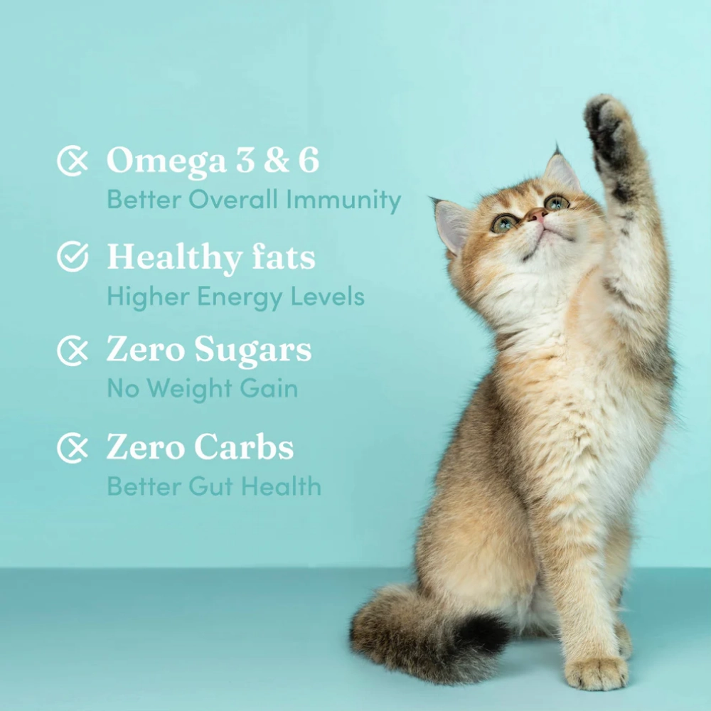 Vedic Tails Strong Cannabis Leaf Oil for Dogs and Cats
