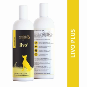 Venttura Livo Plus Liver Supplement Syrup for Dogs