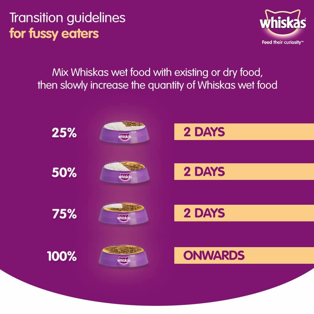 Whiskas Chicken in Gravy Meal Kitten Wet Food and Ocean Fish Kitten Dry Food Combo