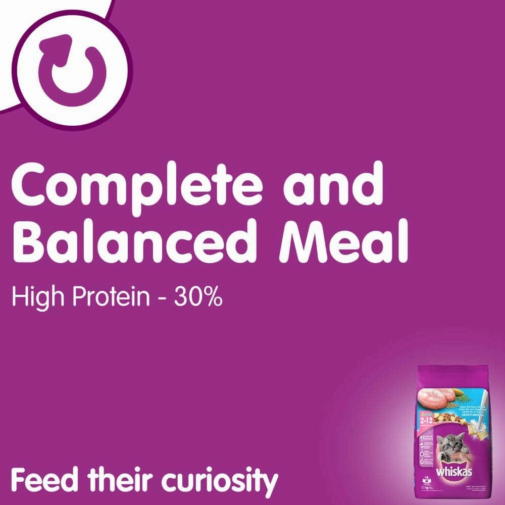 Whiskas Chicken in Gravy Meal Kitten Wet Food and Ocean Fish Kitten Dry Food Combo
