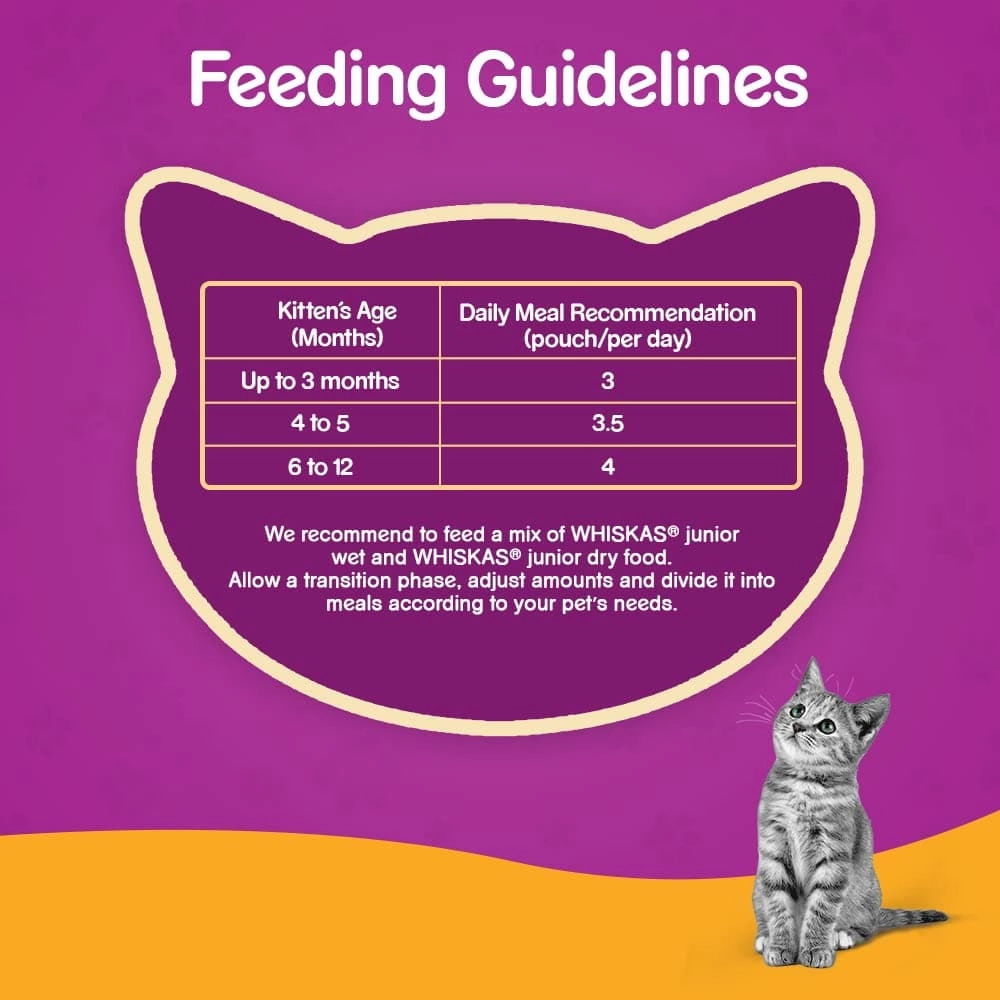 Whiskas Chicken in Gravy Meal Kitten Wet Food and Ocean Fish Kitten Dry Food Combo