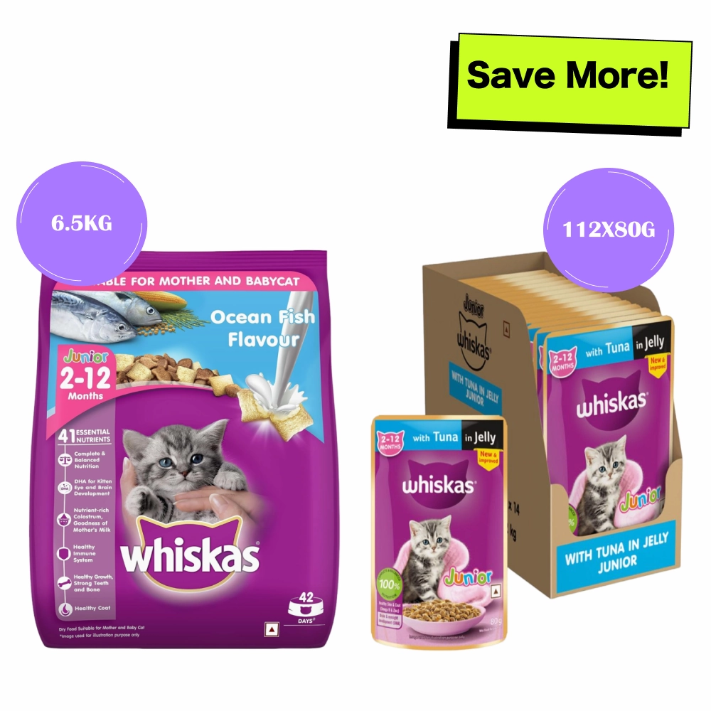 Whiskas Tuna in Jelly Kitten Wet Food and Ocean Fish Kitten Dry Food Combo