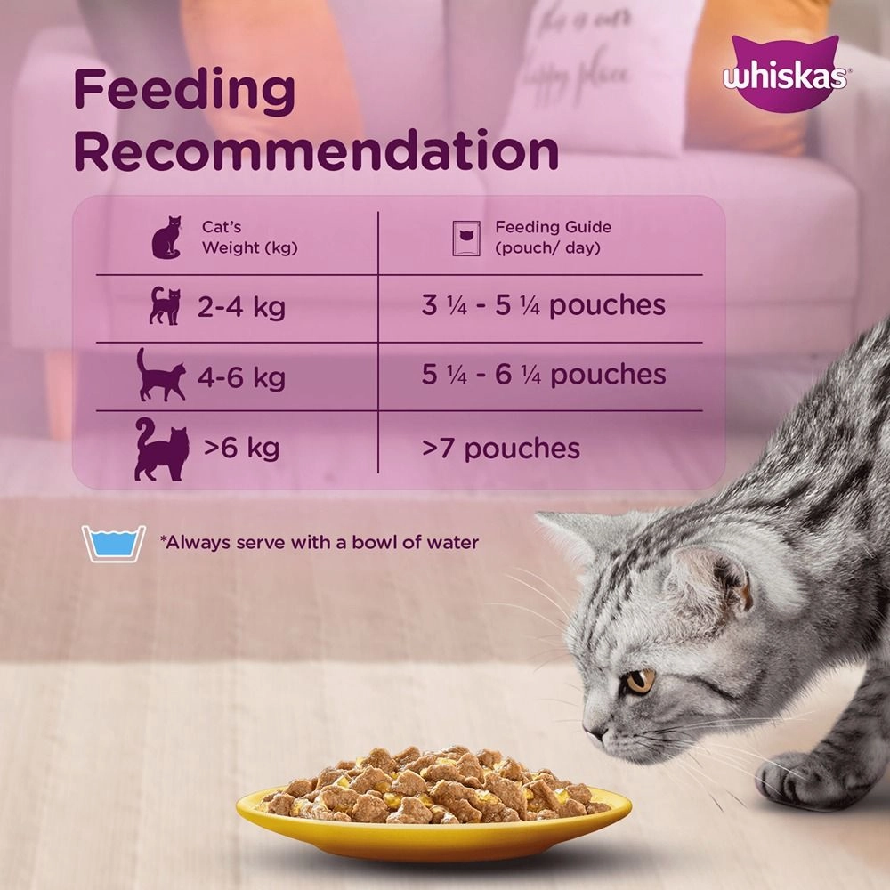 Whiskas Tuna in Jelly Meal and Chicken Gravy Adult Cat Wet Food Combo