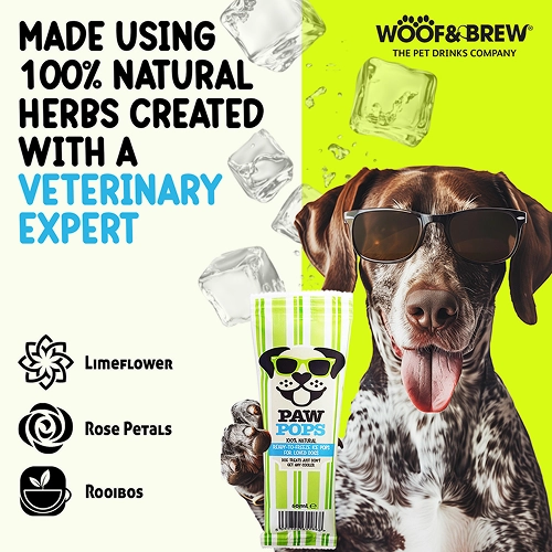 Woof & Brew Ice Paw Pops Dog Treat