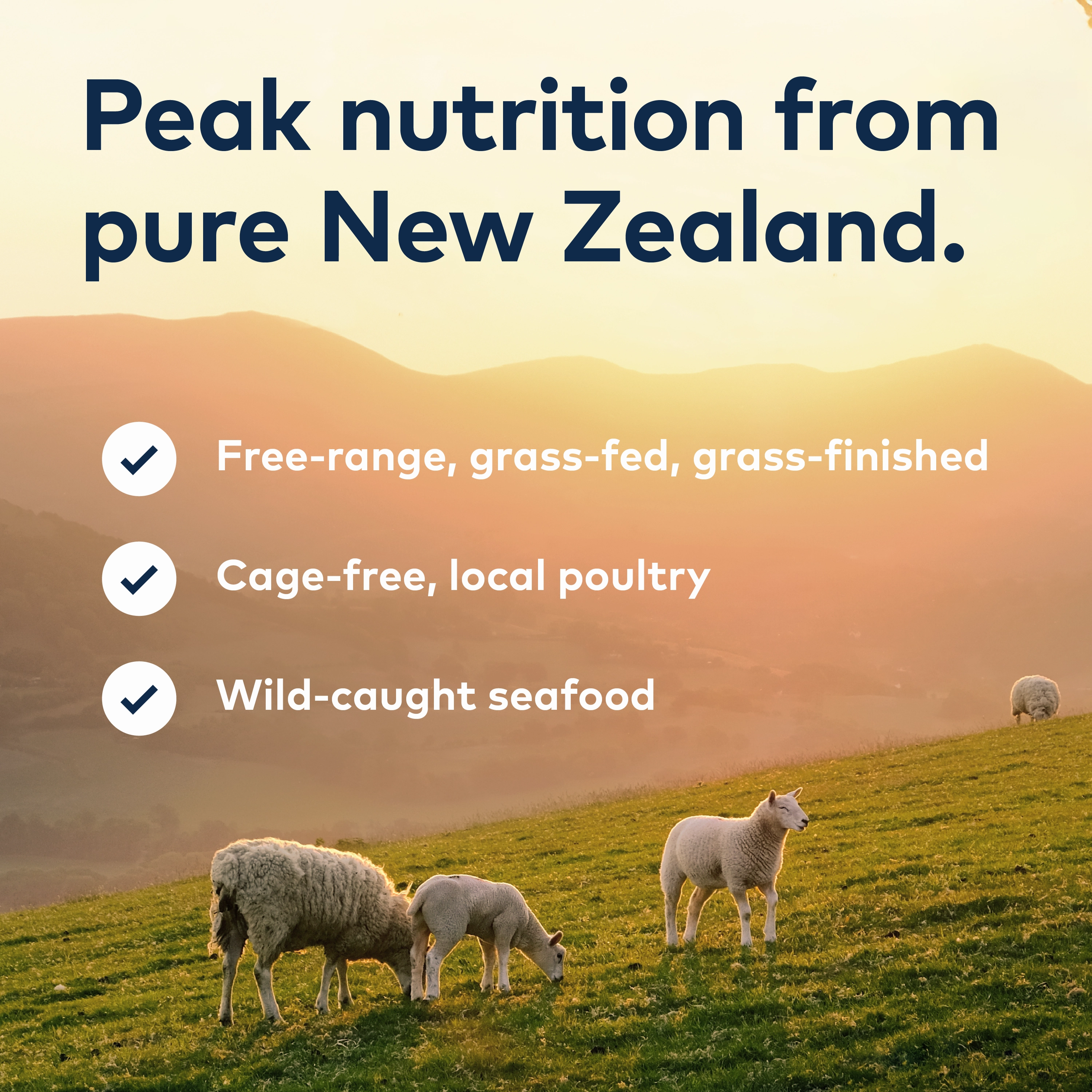ZIWI Air Dried Beef Dog Food