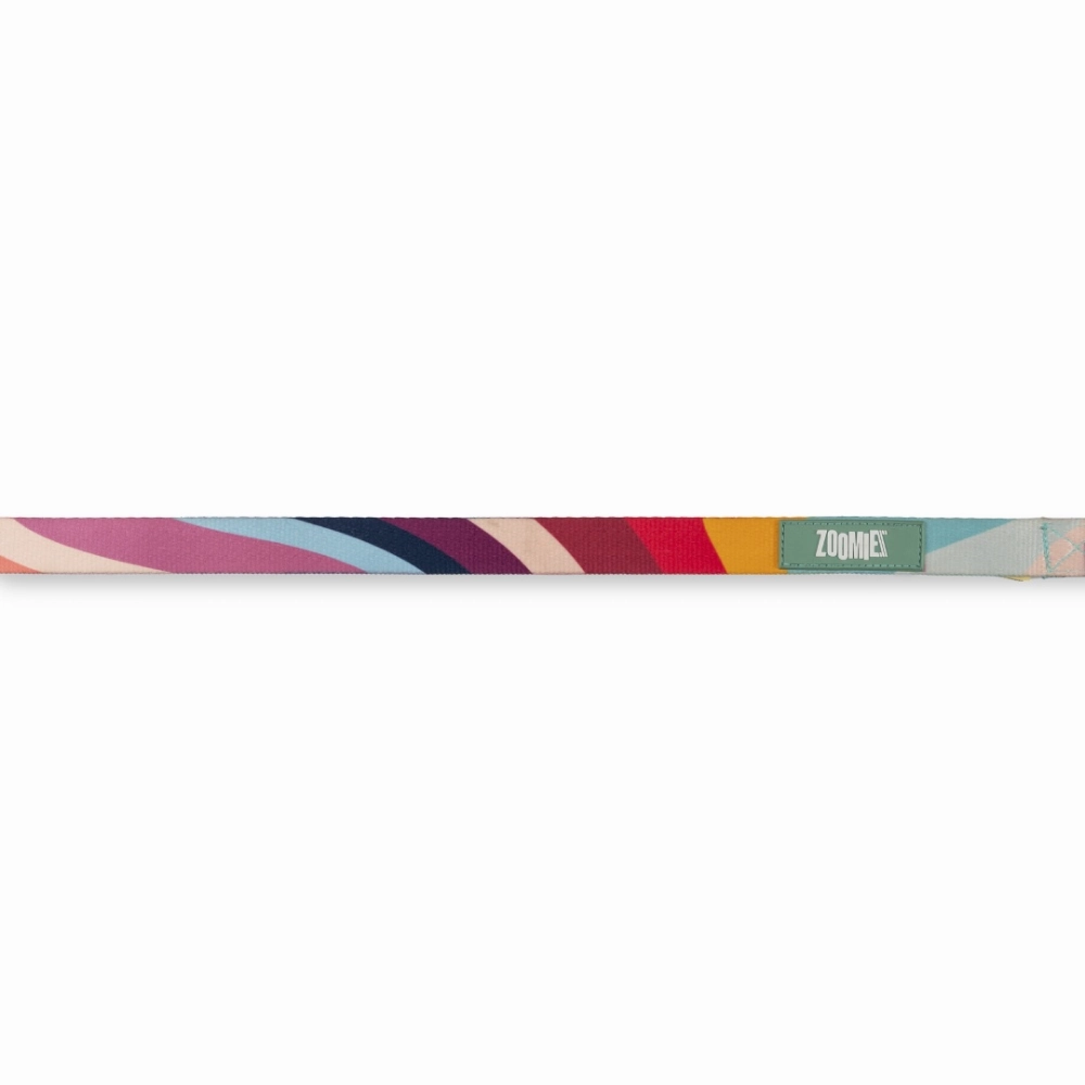 Zoomiez Swirl Printed Leash for Dogs
