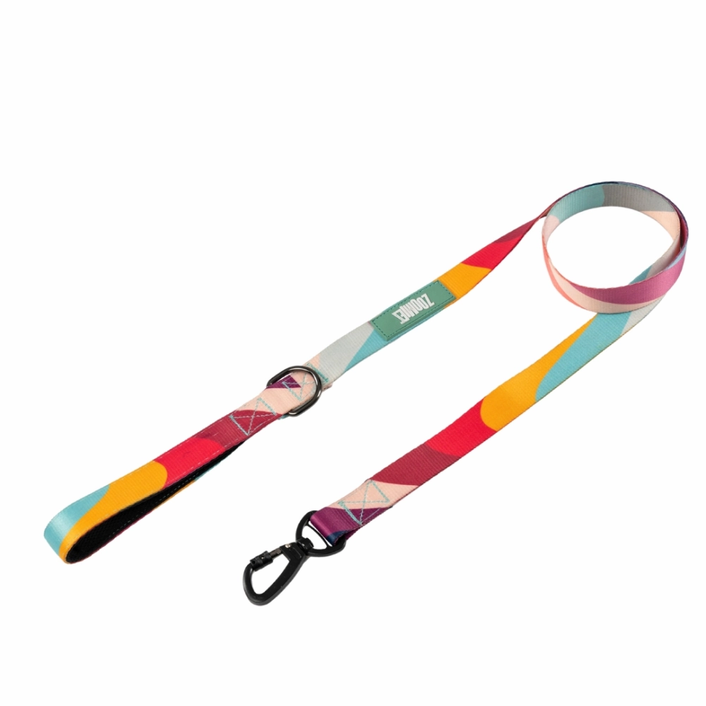 Zoomiez Swirl Printed Leash for Dogs