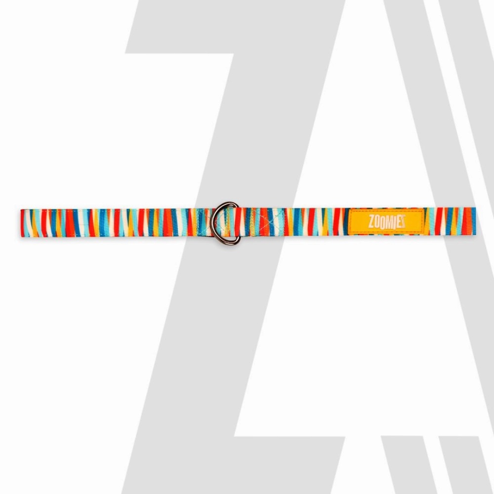 Zoomiez Tango Printed Leash for Dogs